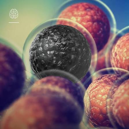 Cellular renewal representing senolytic zombie cell clearance